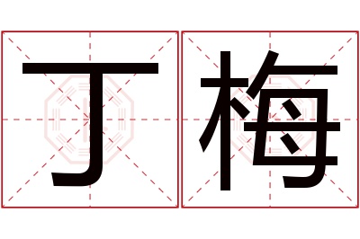 丁梅名字寓意