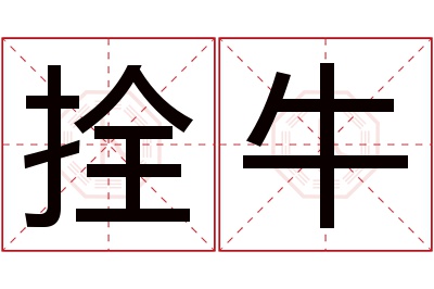 拴牛名字寓意