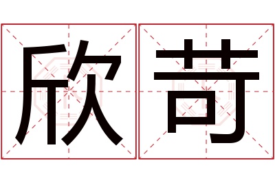 欣苛名字寓意