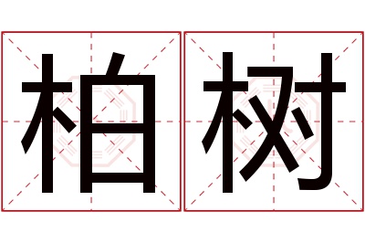 柏树名字寓意