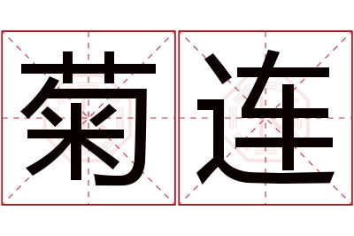 菊连名字寓意