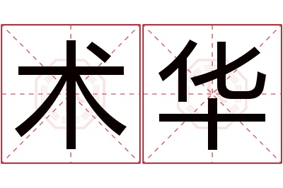 术华名字寓意