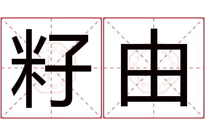 籽由名字寓意