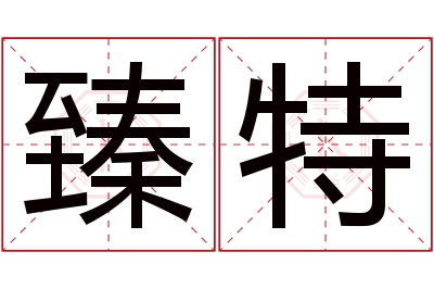 臻特名字寓意