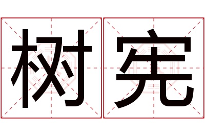 树宪名字寓意