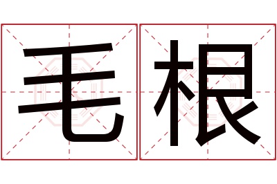 毛根名字寓意