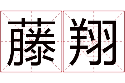 藤翔名字寓意