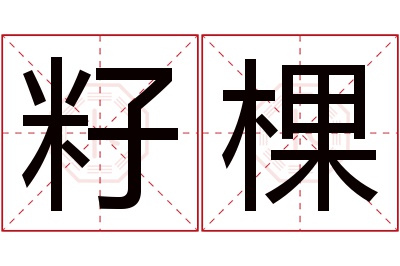 籽棵名字寓意