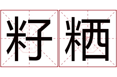 籽粞名字寓意