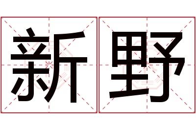 新野名字寓意