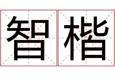 智楷名字寓意