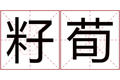 籽荀名字寓意