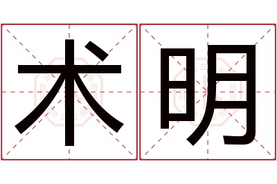 术明名字寓意