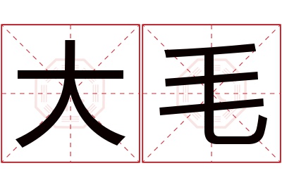 大毛名字寓意