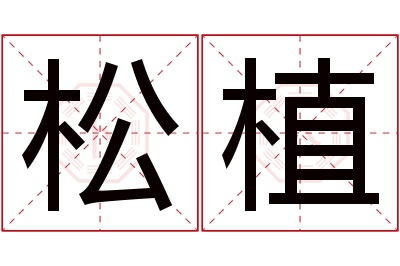 松植名字寓意