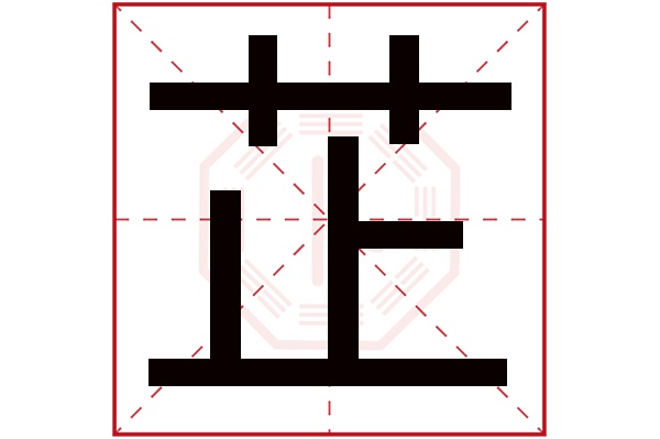 芷字五行属什么,芷字在名字里的含义,芷字起名的寓意