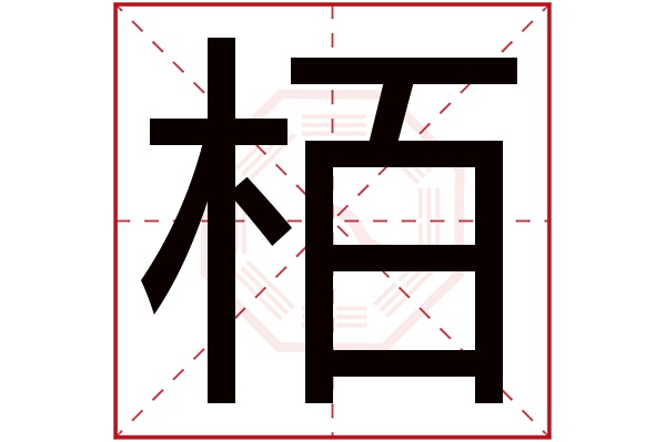 栢字五行属什么,栢字在名字里的含义,栢字起名的寓意