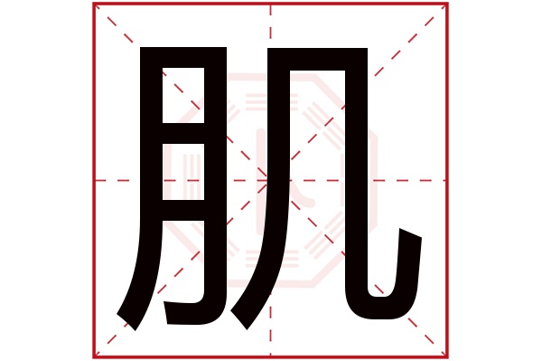 肌字五行属什么,肌字在名字里的含义,肌字起名的寓意