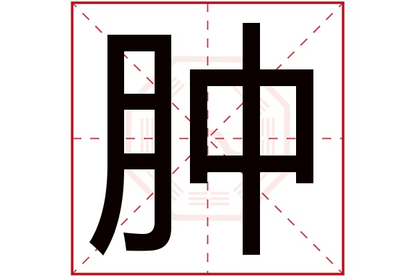 肿字五行属什么,肿字在名字里的含义,肿字起名的寓意