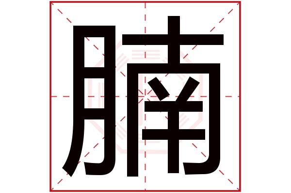 腩字五行属什么,腩字在名字里的含义,腩字起名的寓意